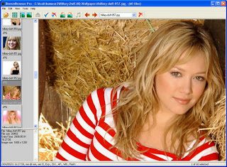 1615719295_5_breezebrowserprov1-9-8-3fullkeygen1-9592296