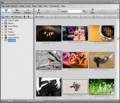 FotoAlbum Pro 7.0.6.0 Full Patch and Serial 1615719413_144_fotoalbumpro7-0-6-0fullpatchandserial1-6681162
