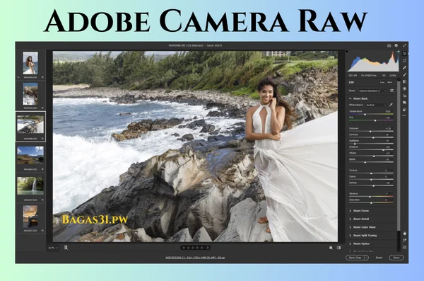 Adobe Camera Raw Download 2024
