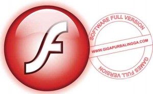 adobe-flash-player-13-00-154-offline-installer-300x184-7709214