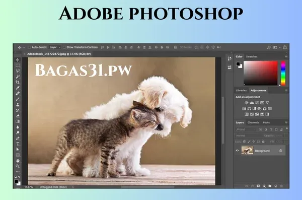 adobe photoshop download for pc
