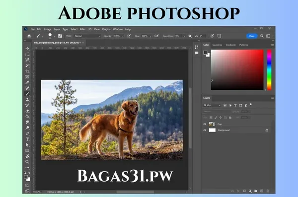 adobe photoshop free download