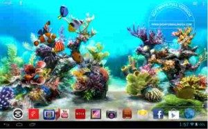 aquarium-3d-live-wallpaper-apk-300x187-5150511