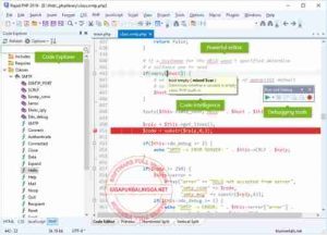 blumentals-rapid-php-full-version1-300x216-7616209