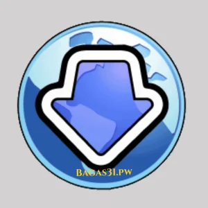 Bulk Image Downloader v6.65