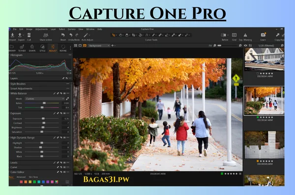 Capture One Pro/Enterprise Free Download Full Version