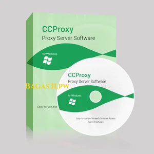 Ccproxy v8.0.20250207
