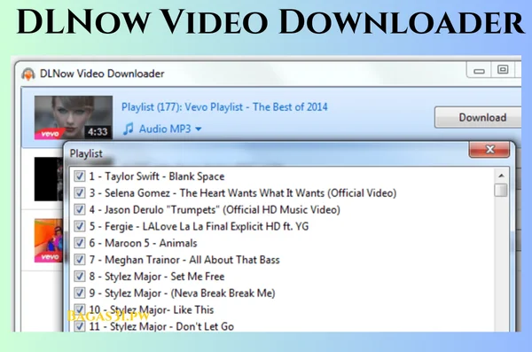 DLNow Video Downloader Download 2024