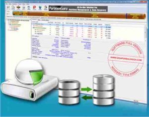 eassos-partitionguru-pro-full-crack-300x235-1654941