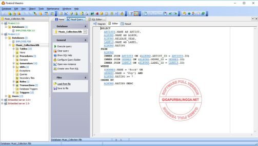 firebird-maestro-full-crack1-1485964