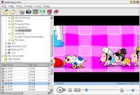 flashplayerprov5-3withkey-9507345