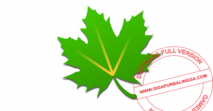 greenify-300x157-4157501