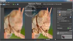 helicon-focus-pro-full-crack1-300x170-5863414
