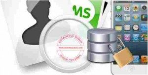 ibackup-viewer-full-300x153-1721079