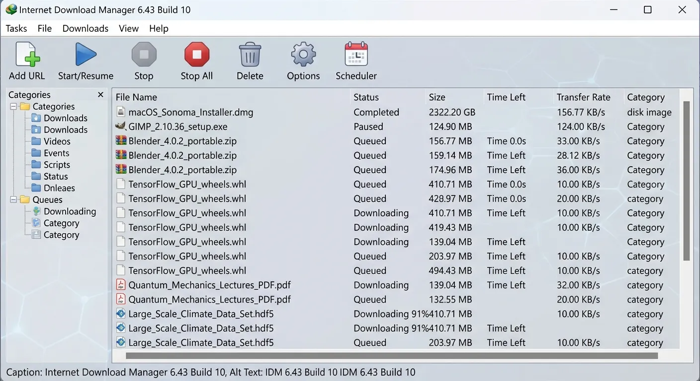 IDM 6.43 Build 10 main window