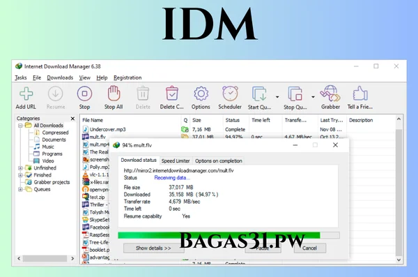 IDM download for pc