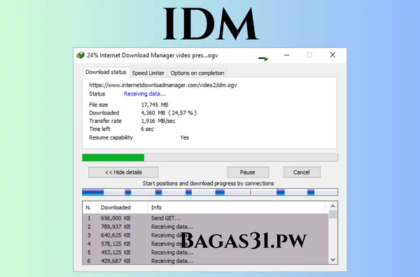 download idm full version