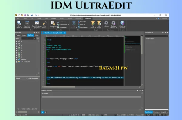 IDM UltraEdit Latest Download 2024