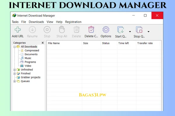internet download manager Terbaru Version 2024
