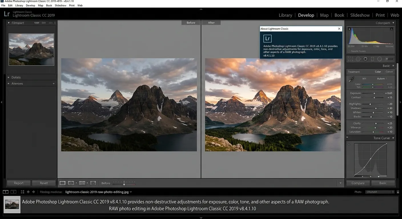 Pengeditan foto RAW di Lightroom Classic 2019