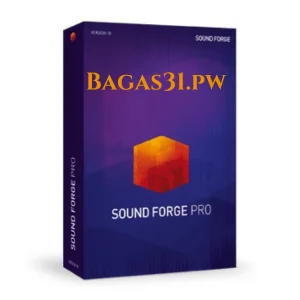 Magix Sound Forge Pro v18.0.0.21