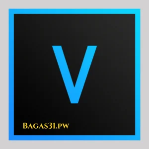 Bagas31 MAGIX Vegas Pro 22.0.0.194