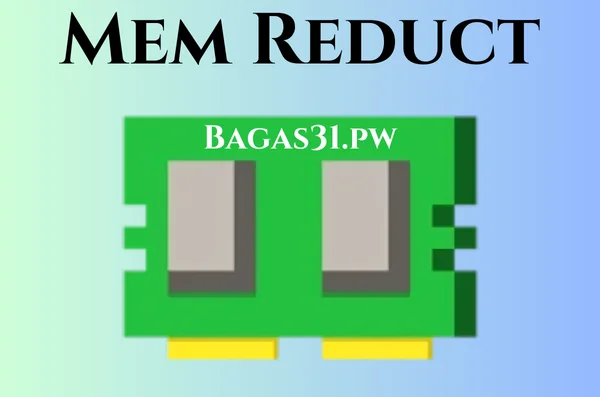 Mem Reduct Full Bagas31