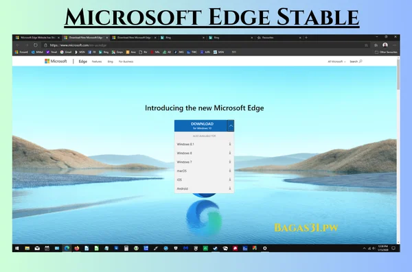 Microsoft Edge Stable Terbaru Download 2024