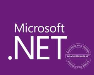 microsoft-net-framework-5-0-2325854