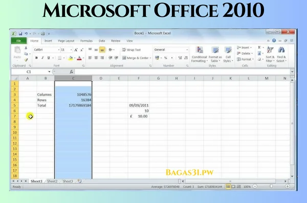Microsoft Office 2010 Terbaru Download 2024