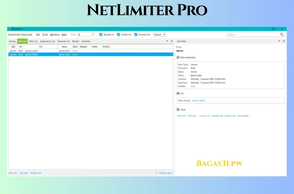 NetLimiter Pro Terbaru Version 2024