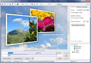 picturestoexe-deluxe-v8-0-12-full-crack-300x209-7878169