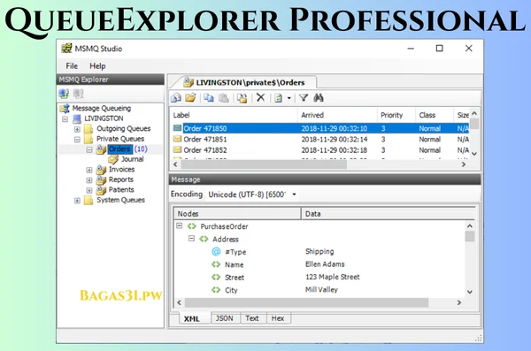 QueueExplorer Professional Free Download
