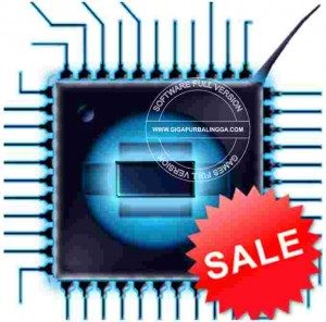 ram-manager-pro-apk-300x296-5265691