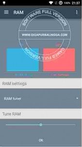 ram-manager-pro-apk1-169x300-1878064