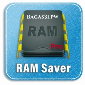 RAM Saver Professional v26.7.1