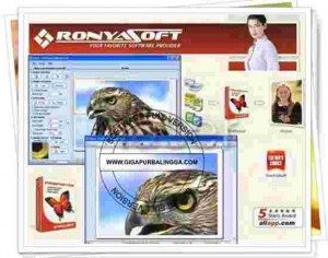 ronyasoft-poster-designer-full-300x236-9669343