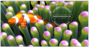 sim-aquarium-v3-8-60-full-patch1-300x159-2119056