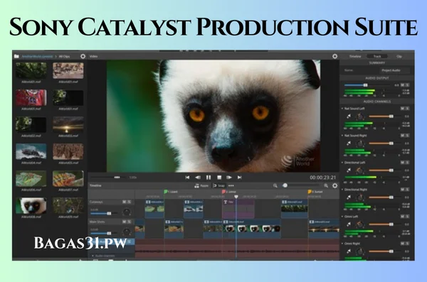 Sony Catsalyst Production Suite Free Download