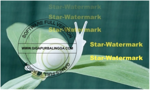 star-watermark-ultimate-v1-1-3-full-serial2-300x180-6733877