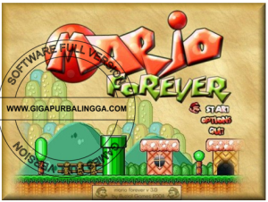 super-mario-forever-3-for-pc-300x226-2081065