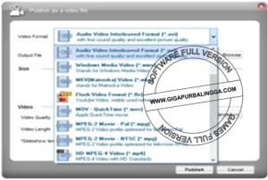 support-audio-video-image-format-300x202-8430900