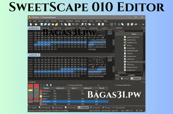 SweetScape 010 Editor Free Download