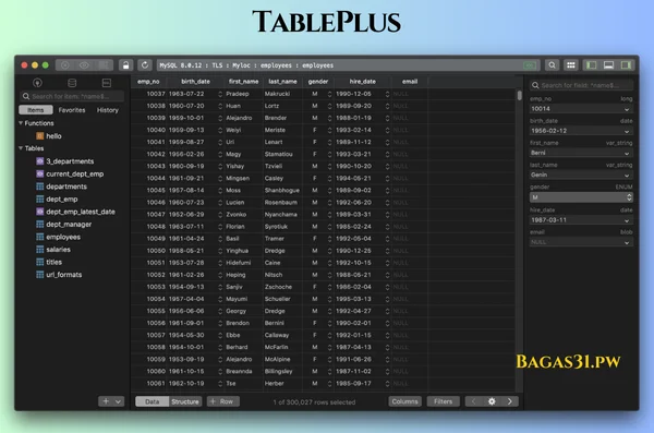 TablePlus Terbaru Download 2025