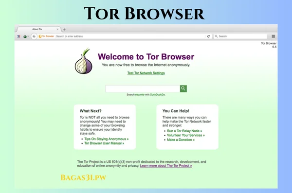 Tor Browser Download 2024