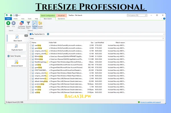 TreeSize Professional Latest Download 2024