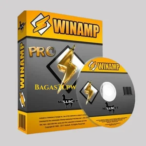 Winamp Pro 6.5