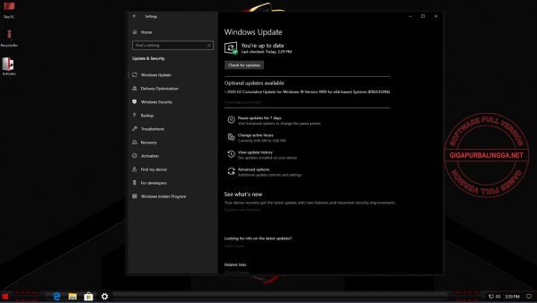 windows-10-1909-pro-x64-amd-radeon-version2-3822142