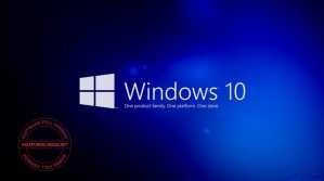 windows-10-20h1-aio-1903778