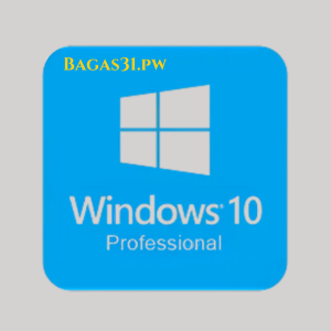 Windows 10 Pro v2009
